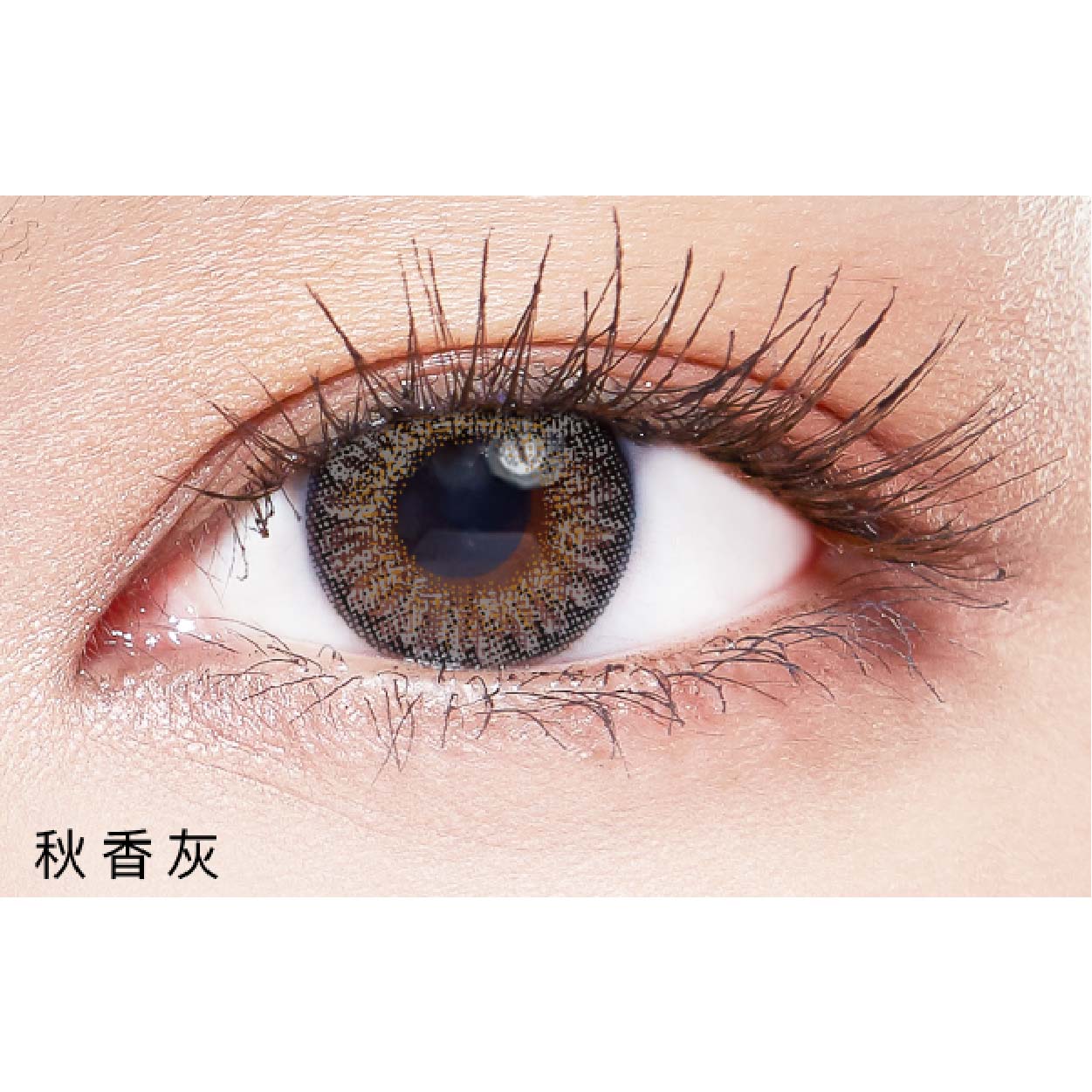 PONY PALLET 魔彩盤彩色日拋10片裝-秋香灰