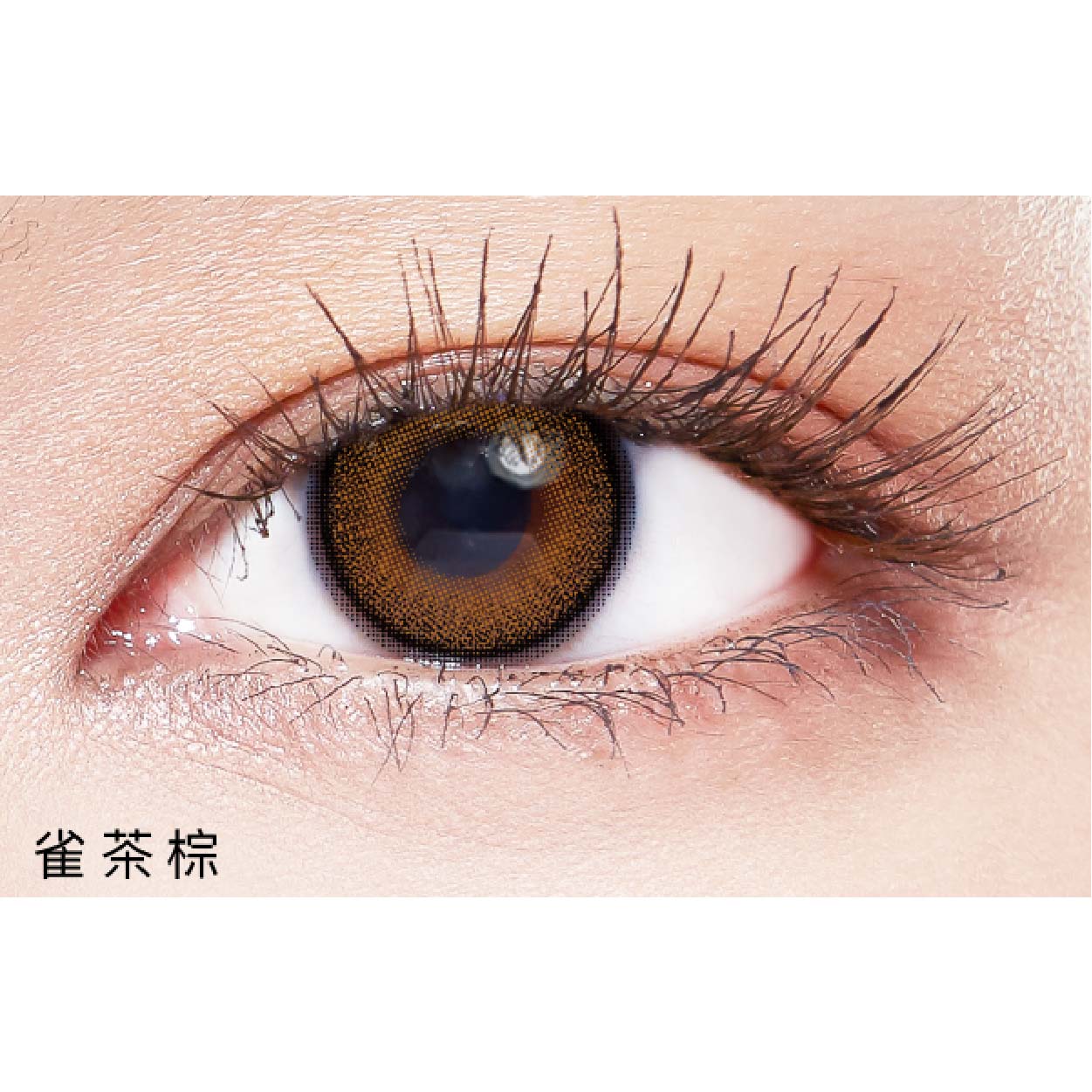 PONY PALLET 魔彩盤彩色日拋10片裝-雀茶棕